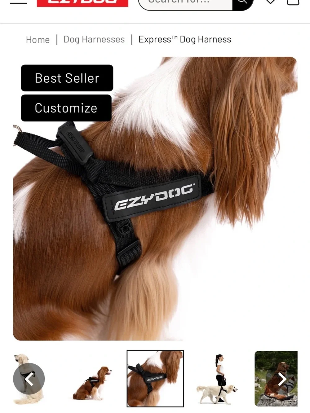 ZYDO Black Dog Harness with EZYDOG Logo